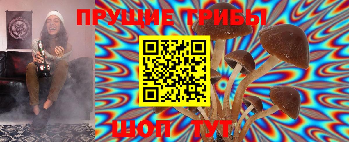 Усть-Кут  Галлюциногенные грибы Psilocybe  Вход с VPN 