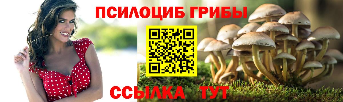 Галлюциногенные грибы мицелий Усть-Кут